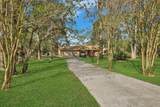 414 Mariachi Street - Photo 38