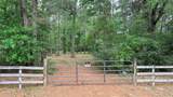 225 Pelican Street - Photo 1