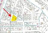 10406 Belridge Street - Photo 3