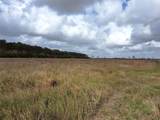 0 Cr-49 Off 288 Hwy - Photo 12