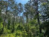 4 Highway 190 - Photo 10