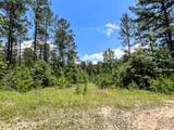 4 Highway 190 - Photo 11