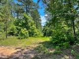4 Highway 190 - Photo 13