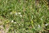 4 Highway 190 - Photo 14