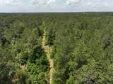 4 Highway 190 - Photo 5
