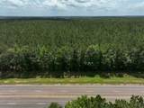 4 Highway 190 - Photo 7