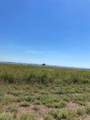28 North Driftwood Shores - Photo 11