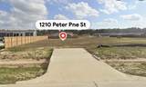 1210 Peter Pine Street - Photo 1