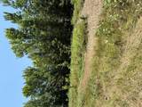 TBD Sunshine Acres - Photo 6