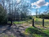 0 An County Road 153 - Photo 2