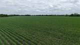 53 County Road 453 - Photo 1