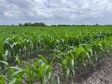 53 County Road 453 - Photo 6