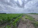53 County Road 453 - Photo 7