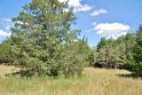 TBD Rosanky Road - Photo 15