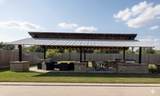 5527 Cuerta Street - Photo 46