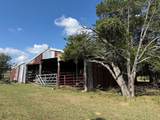 13115 Schoenemann Road - Photo 12
