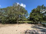 13115 Schoenemann Road - Photo 14
