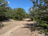 13115 Schoenemann Road - Photo 5