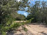 13115 Schoenemann Road - Photo 6