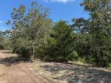 13115 Schoenemann Road - Photo 7