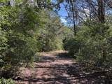 13115 Schoenemann Road - Photo 8