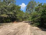 13115 Schoenemann Road - Photo 9