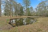 31926 Dobbin Huffsmith Road - Photo 32