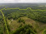 0 Fodice Road - Photo 1