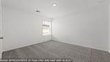 14247 Moonflower Drive - Photo 12