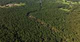 0000 Evergreen Lot 8 Fm 362 Road - Photo 16
