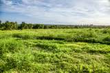 LOT 9 Hargrove Lane - Photo 4