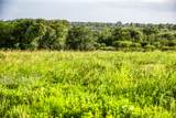 LOT 9 Hargrove Lane - Photo 6