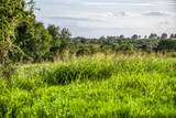 LOT 9 Hargrove Lane - Photo 9