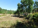 328 County Road 3893 - Photo 4
