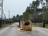 10213 Autumn Leaf Circle - Photo 14