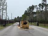 10213 Autumn Leaf Circle - Photo 15