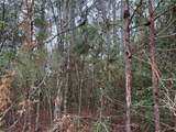 10213 Autumn Leaf Circle - Photo 9