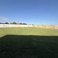26934 Dalmatian Bellflower - Photo 10