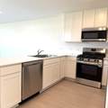 26934 Dalmatian Bellflower - Photo 4