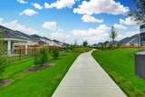 25502 Marisol Sunsets Lane - Photo 26