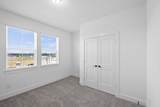 11306 Flower Petal Court - Photo 23