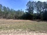 15576 Forest Grove Drive - Photo 3