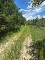 0 Chestnut Drive - Photo 1