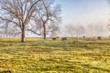 0000 Steck Bottom Road - Photo 11