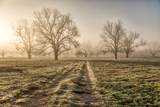 0000 Steck Bottom Road - Photo 4