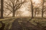 0000 Steck Bottom Road - Photo 5
