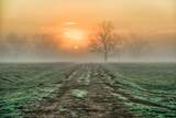 0000 Steck Bottom Road - Photo 6