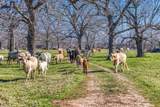 0000 Steck Bottom Road - Photo 7