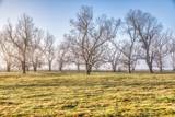 0000 Steck Bottom Road - Photo 8