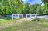 11552 Persimmon Street - Photo 47